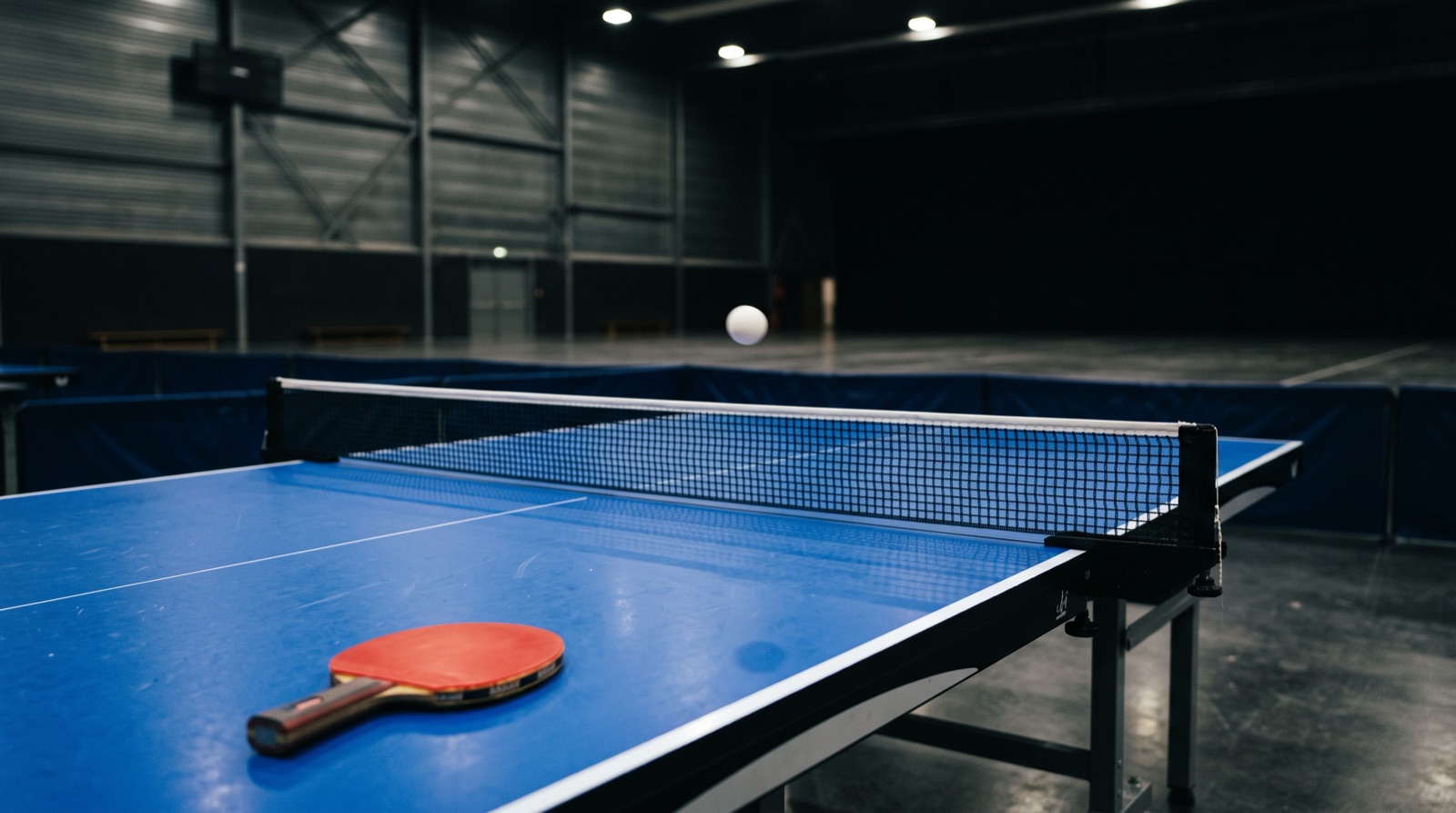 Table Tennis Betting: Markets, Odds and How to Bet on Table Tennis